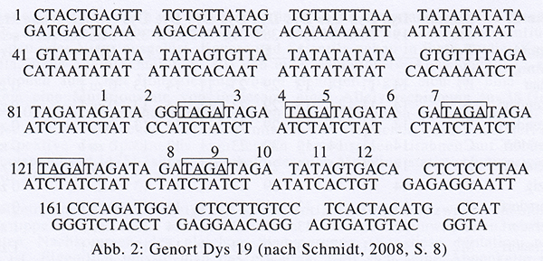 Bild:Preuschoff-DNA-Abb2.jpg
