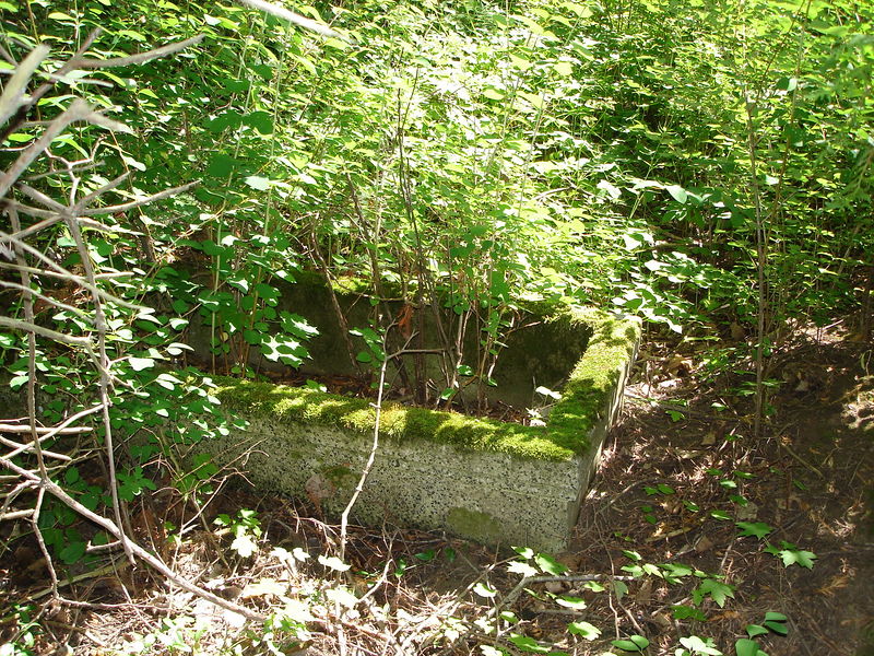Datei:Grabeinfassung 1 Friedhof Horstenau.jpg