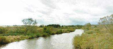 Inster-Fluss bei Pelleningken, ab 1938 Strigengrund, Kreis Insterburg